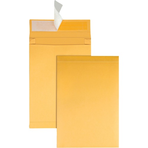 ENVELOPE,RSTRP,EXPN,9X12X2