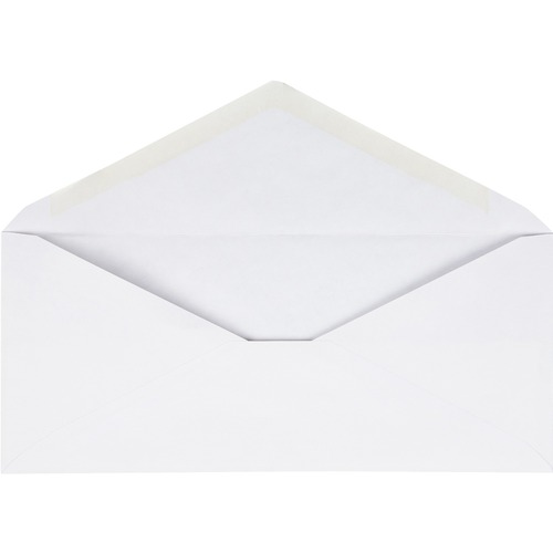 ENVELOPE,#10,REG,WE,250CT