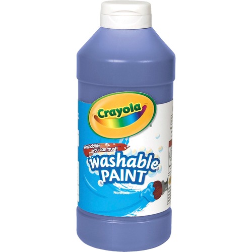 PAINT,WSHBLE,16OZ,BE