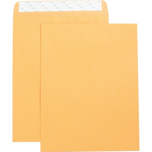 ENVELOPE,CATLG,SELFSL,10X13