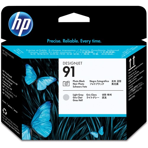 Hewlett-Packard  HP 91 Printhead Cartridge, Photo Black/Light Gray