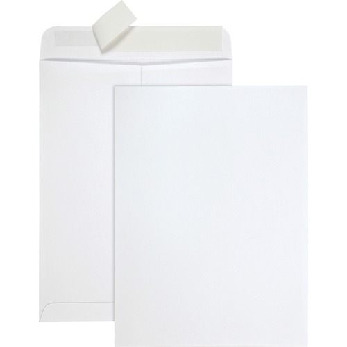 ENVELOPE,TECH-NO-TEAR,9X12