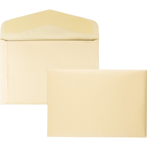 ENVELOPE,DOCUMENT,10X15,CBF