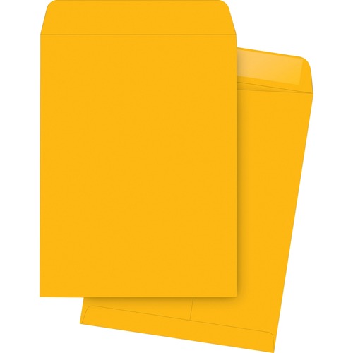 Business Source  Catalog Envelopes, Plain, 10"x13", 250/BX, Kraft