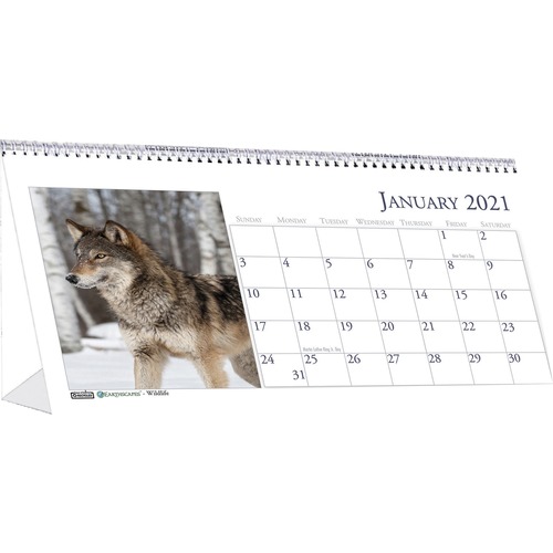 House Of Doolittle  Tent Desk Calendar,Monthly,8-1/2"x4-1/2",Wirebound,Wildlife